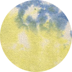 Sherbet